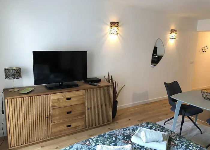 33m2 Avec Terrasse En Centre Apartment *