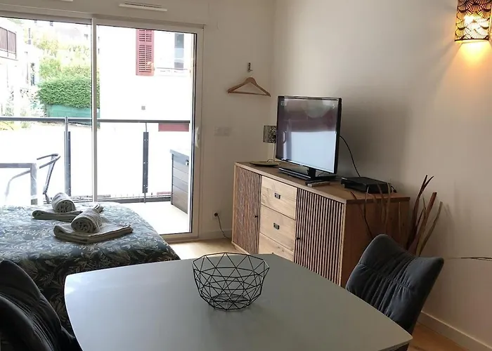 Appartement 33m2 Avec Terrasse En Centre Aix-les-Bains
